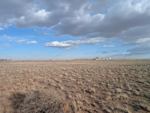 1.25 acre parcel in Navajo County, AZ, photo 4