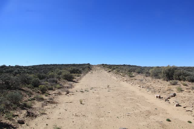 4.77 acre parcel in Costilla County, CO, photo 2