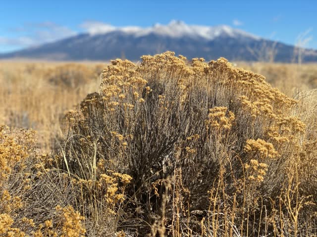 4.96 acre parcel in Costilla County, CO, photo 1