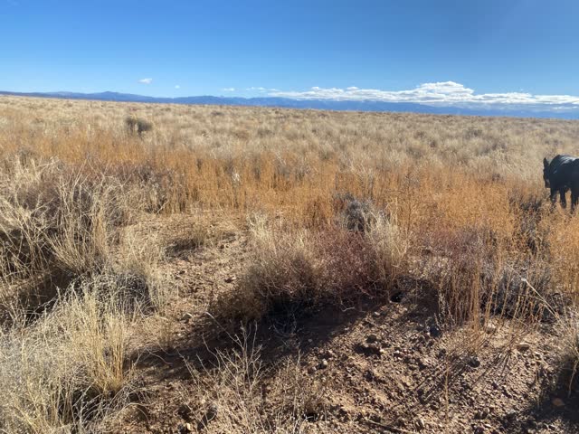 4.96 acre parcel in Costilla County, CO, photo 3
