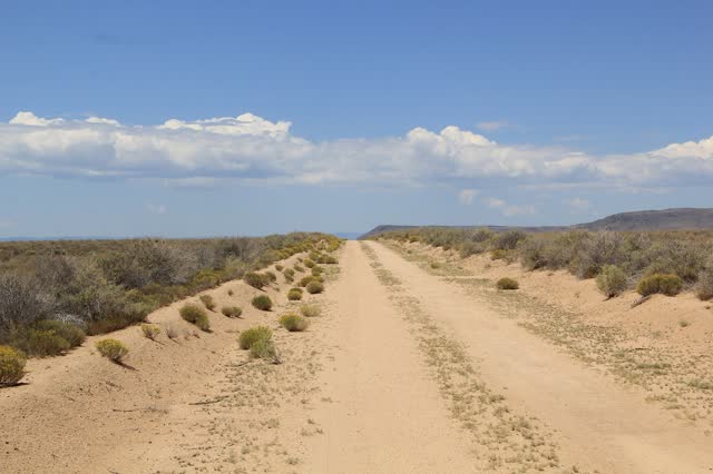 5 acre parcel in Costilla County, CO, photo 2